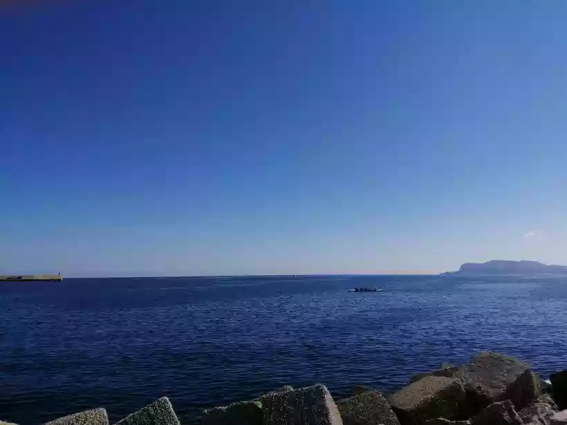 Ingrandisci questa immagine