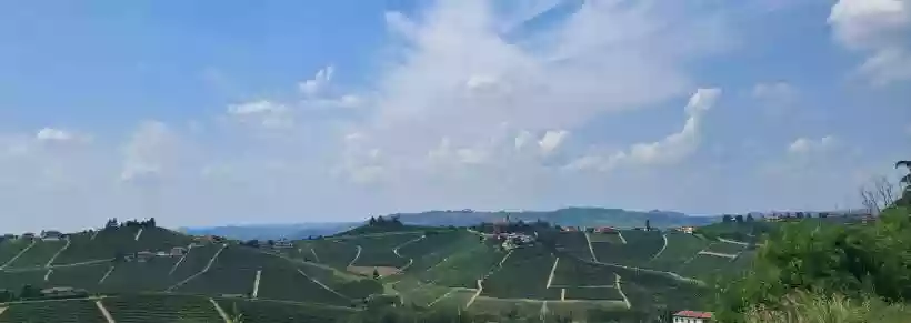 Ingrandisci questa immagine