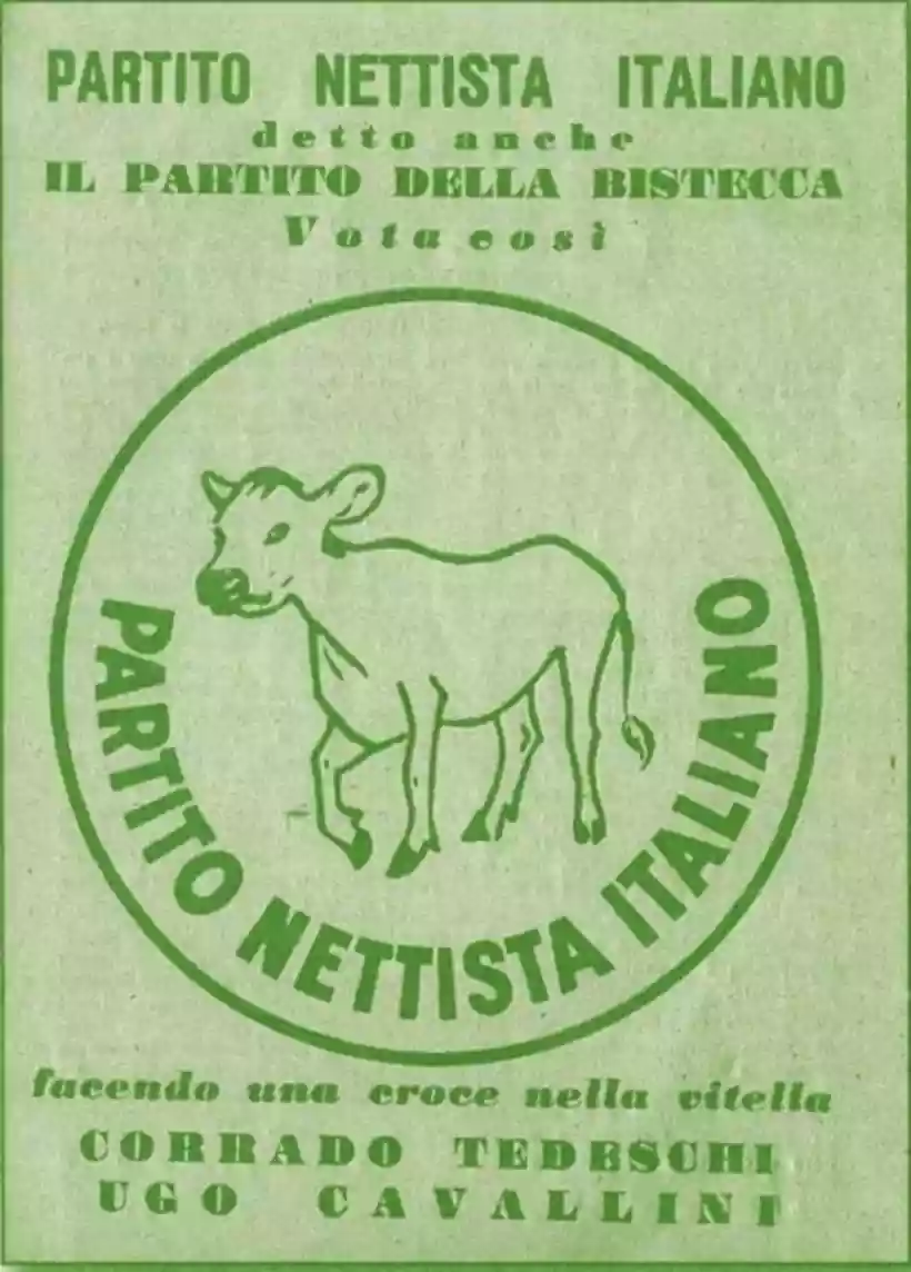Ingrandisci questa immagine
