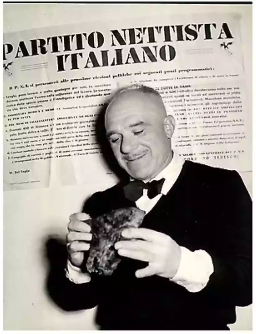 Ingrandisci questa immagine