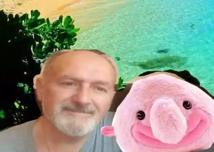 Ingrandisci questa immagine