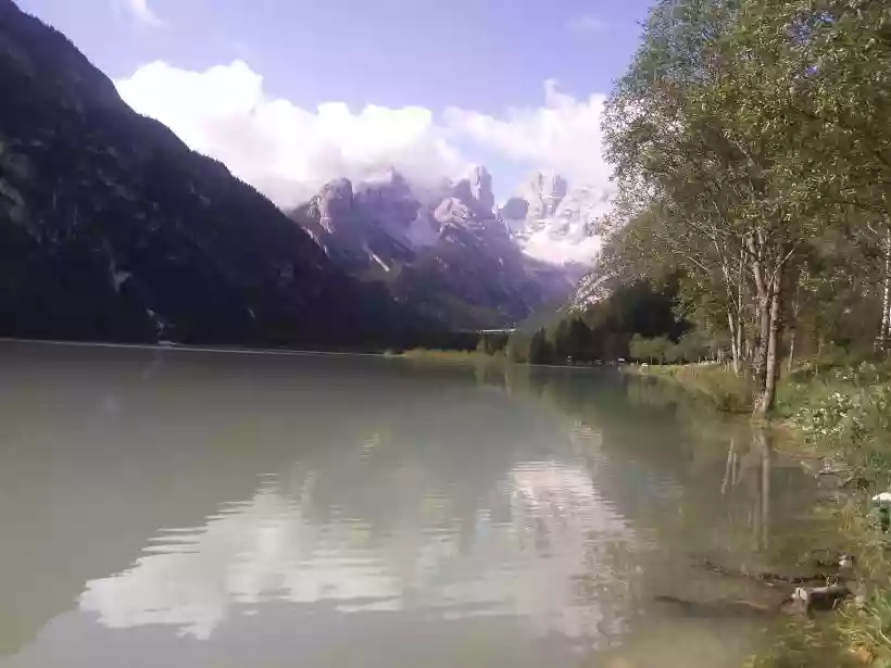 Ingrandisci questa immagine