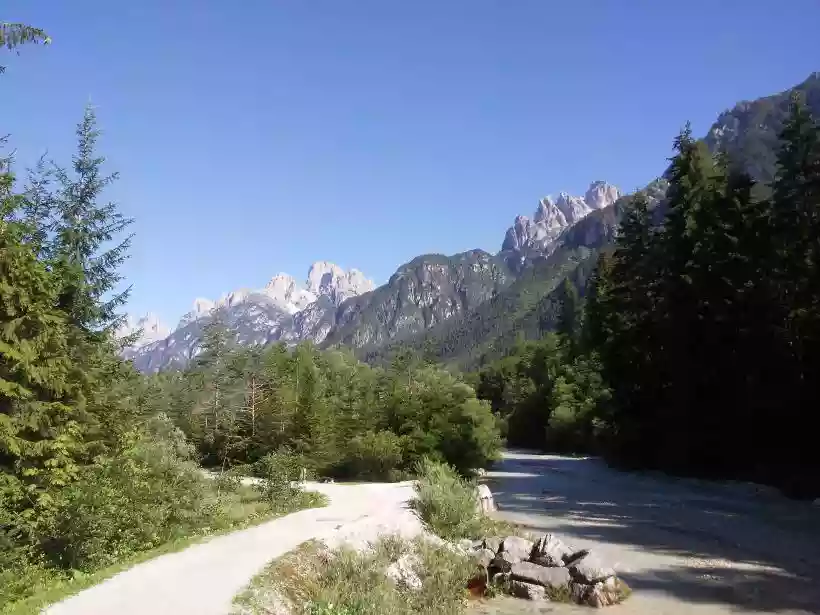 Ingrandisci questa immagine