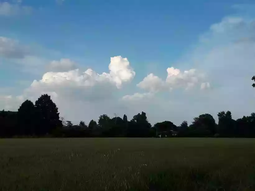 Ingrandisci questa immagine