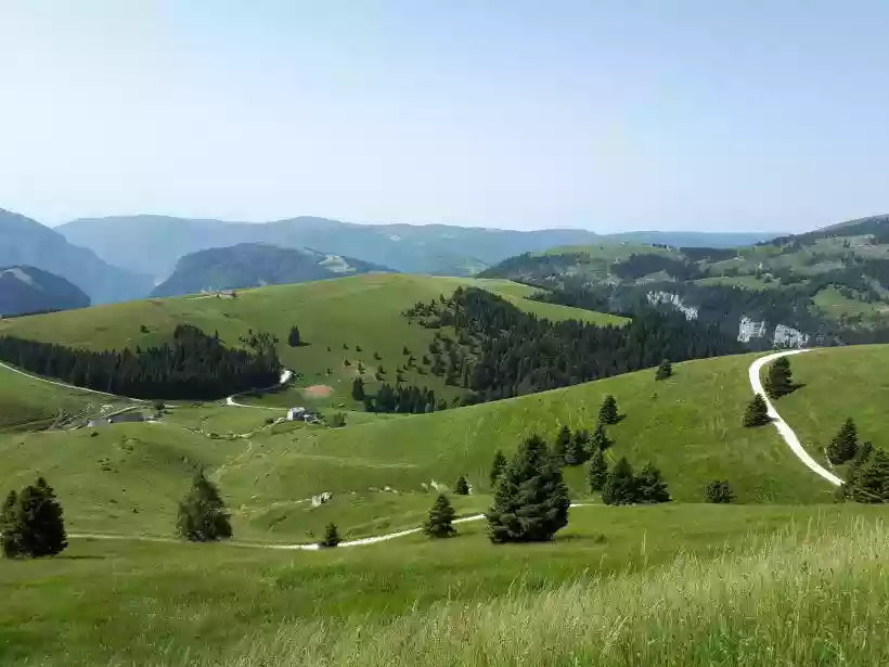 Ingrandisci questa immagine