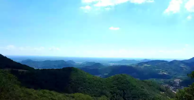 Ingrandisci questa immagine