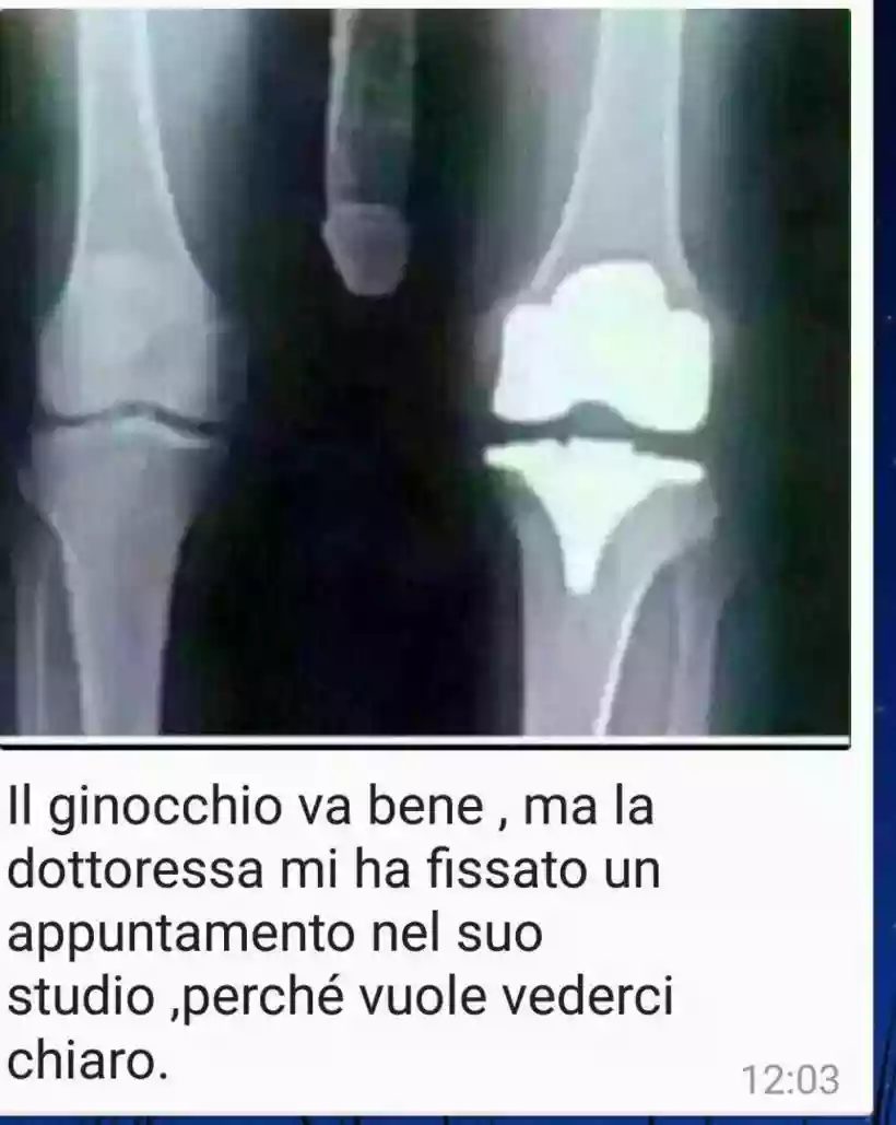 Ingrandisci questa immagine