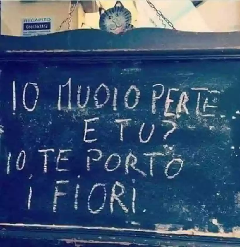 Ingrandisci questa immagine