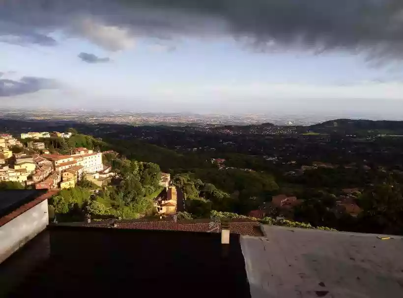 Ingrandisci questa immagine
