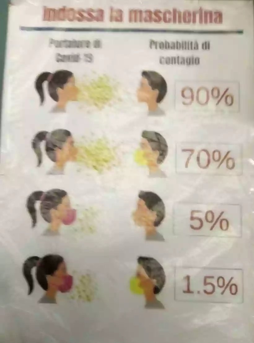 Ingrandisci questa immagine
