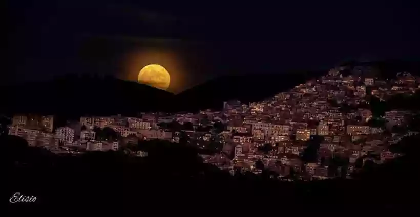 Ingrandisci questa immagine