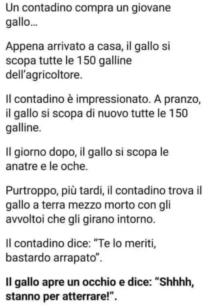 Ingrandisci questa immagine