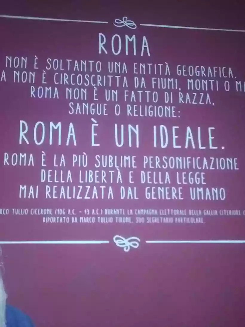 Ingrandisci questa immagine