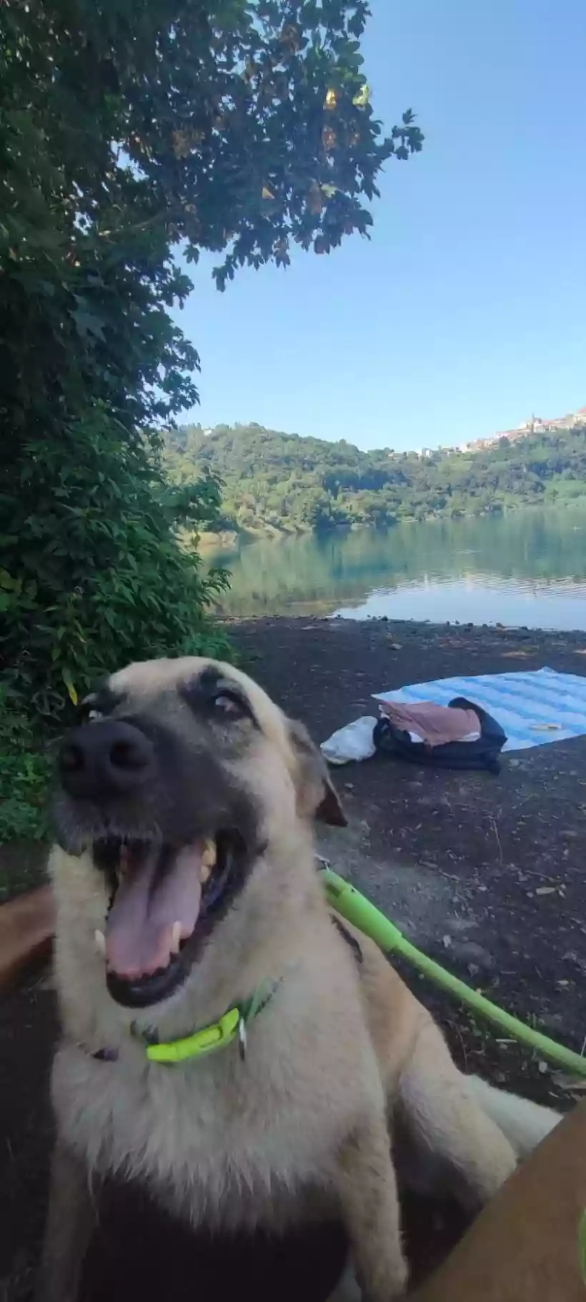 Ingrandisci questa immagine