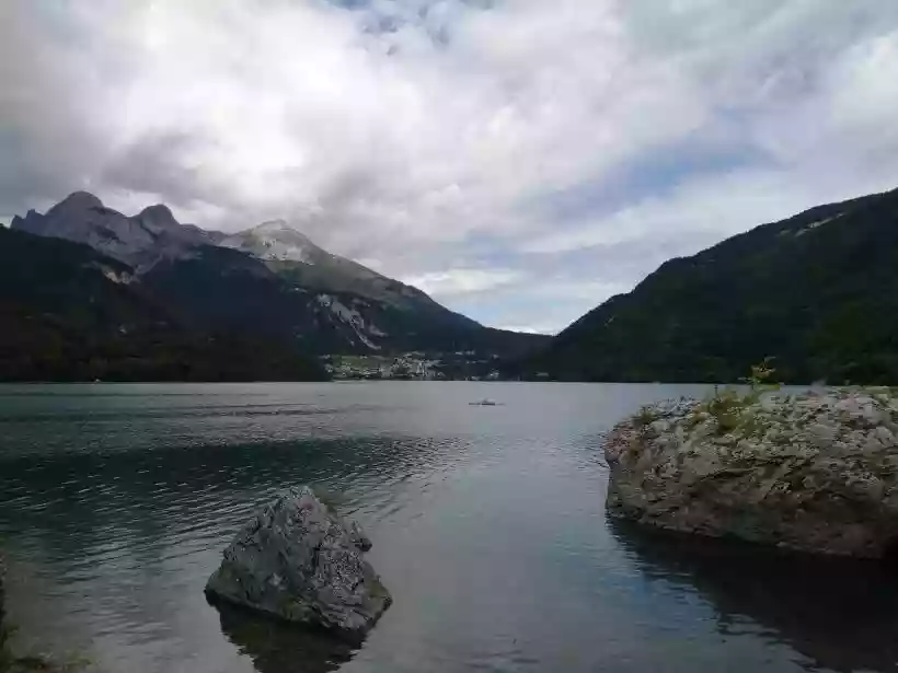 Ingrandisci questa immagine
