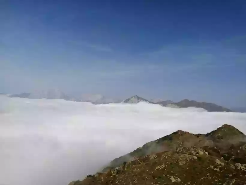 Ingrandisci questa immagine