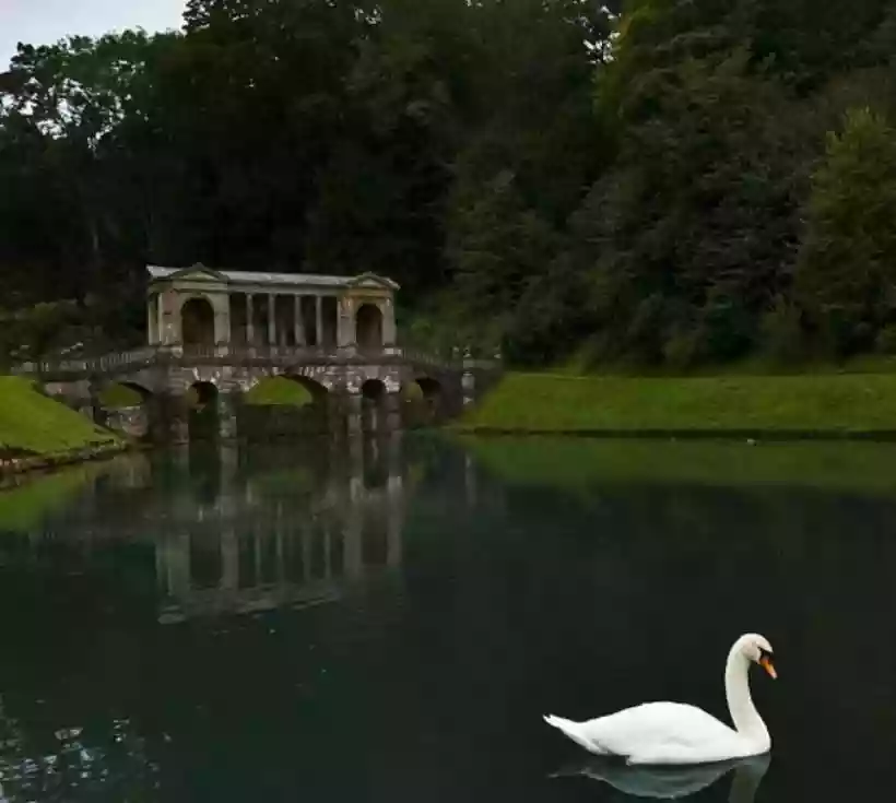 Ingrandisci questa immagine