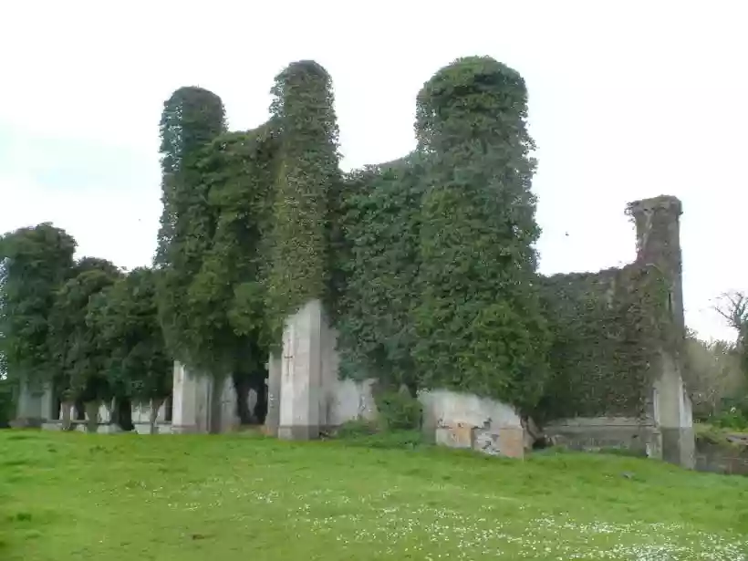 Ingrandisci questa immagine