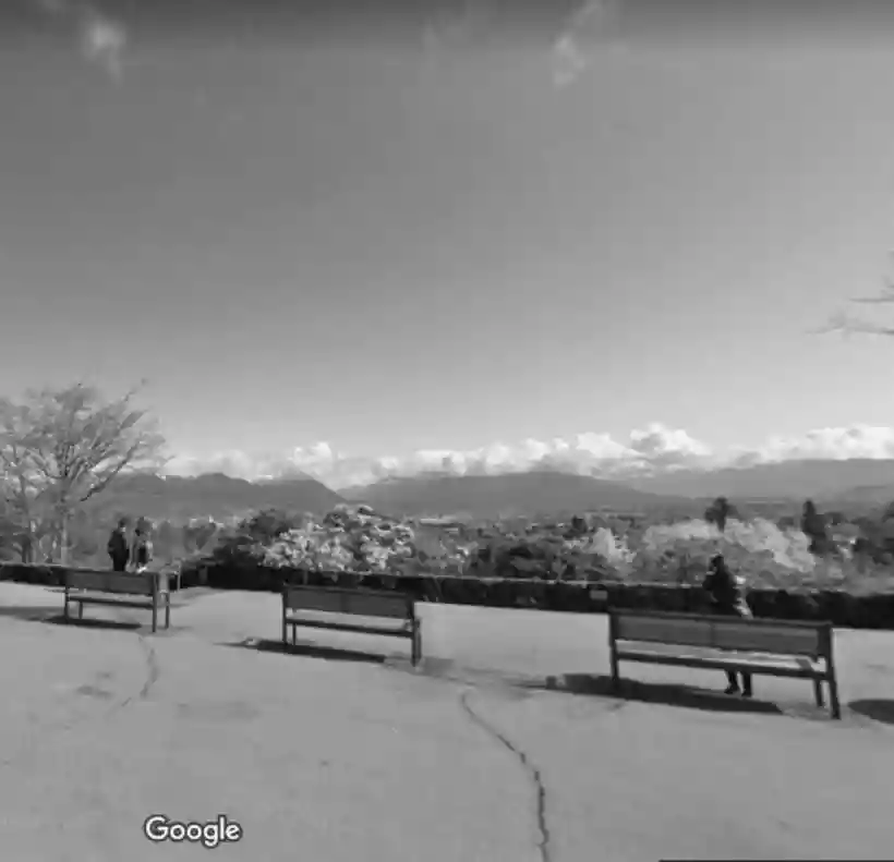 Ingrandisci questa immagine