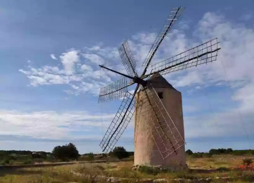 Ingrandisci questa immagine