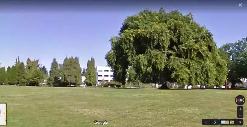 Ingrandisci questa immagine