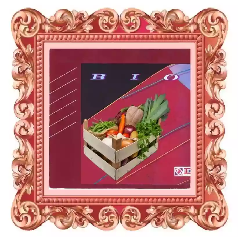 Ingrandisci questa immagine