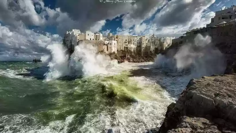 Ingrandisci questa immagine