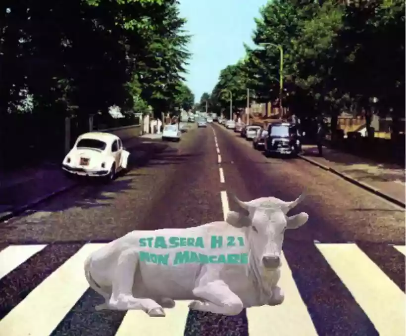 Ingrandisci questa immagine