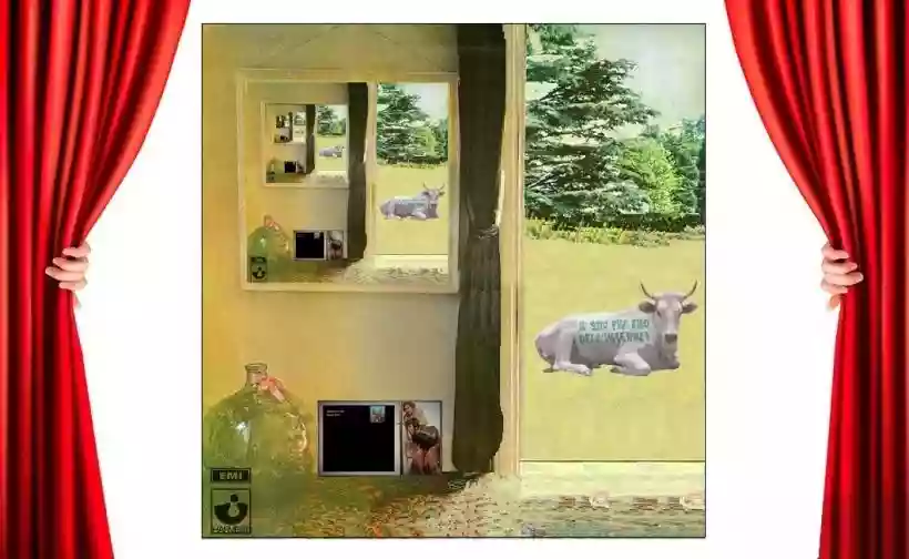 Ingrandisci questa immagine