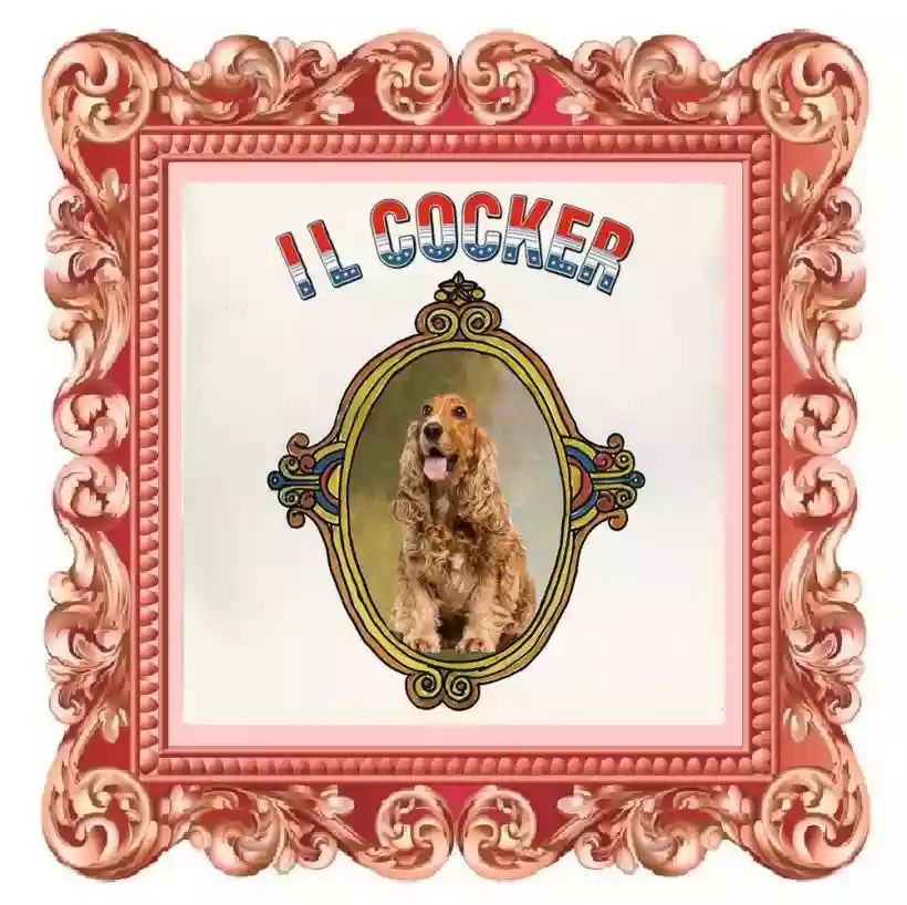 Ingrandisci questa immagine