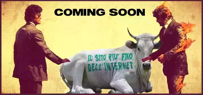 Ingrandisci questa immagine