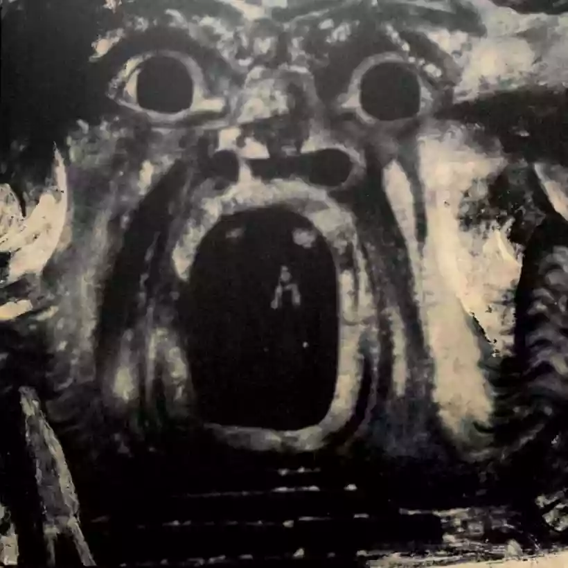 Ingrandisci questa immagine