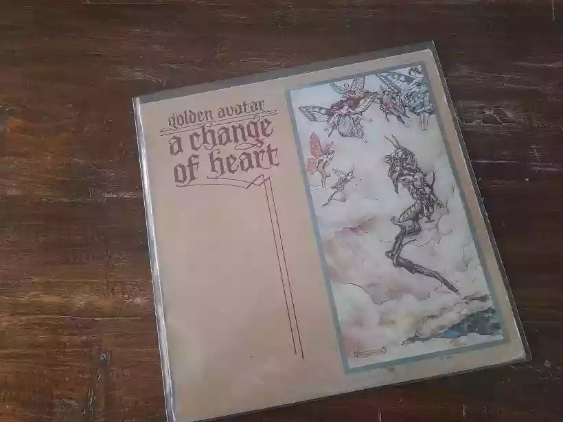 Ingrandisci questa immagine