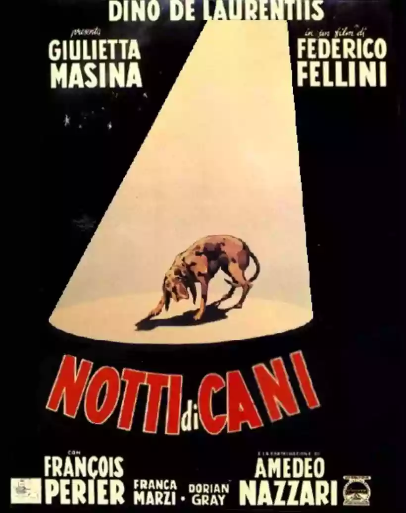 Ingrandisci questa immagine