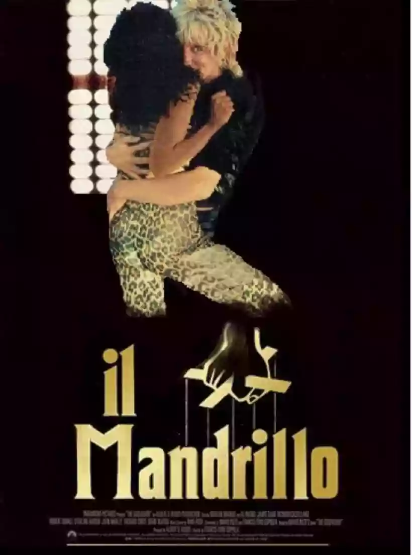 Ingrandisci questa immagine