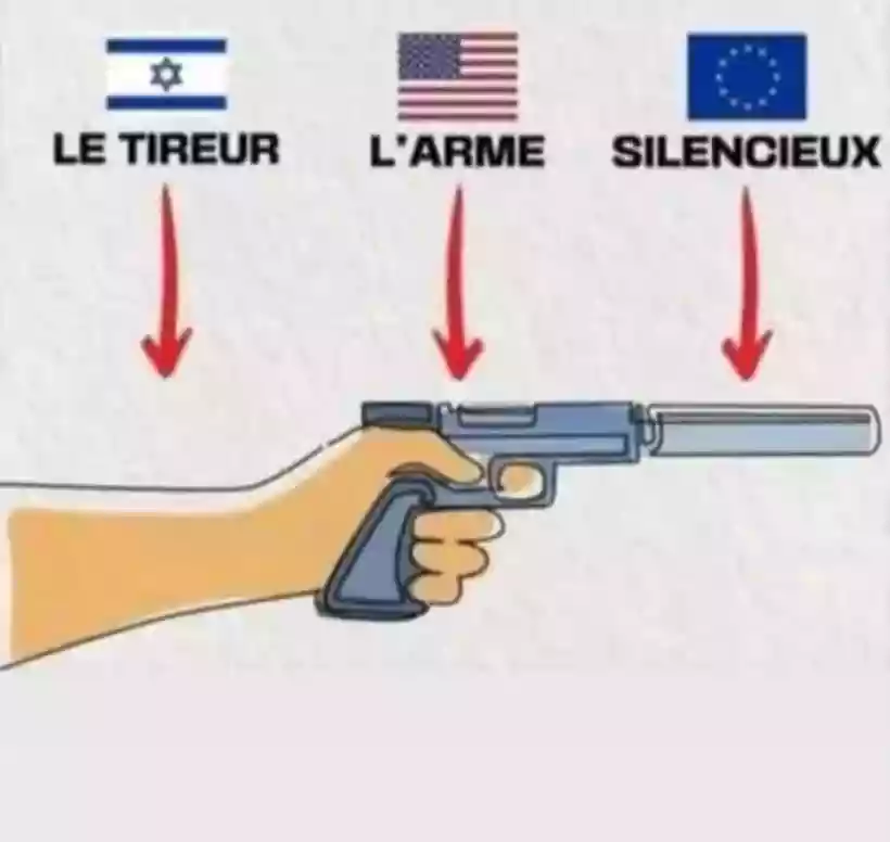 Ingrandisci questa immagine