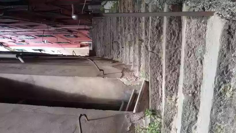 Ingrandisci questa immagine