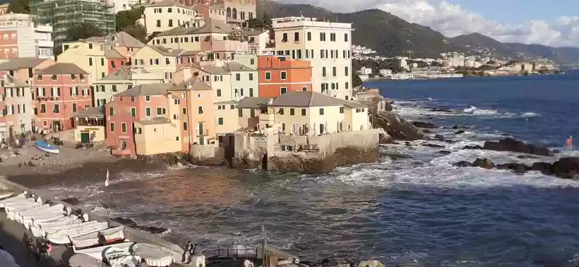 Ingrandisci questa immagine