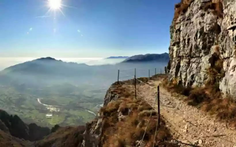 Ingrandisci questa immagine