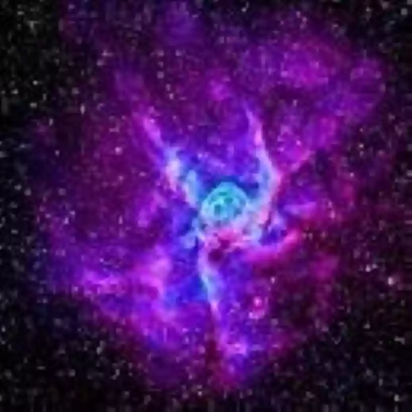 Ingrandisci questa immagine