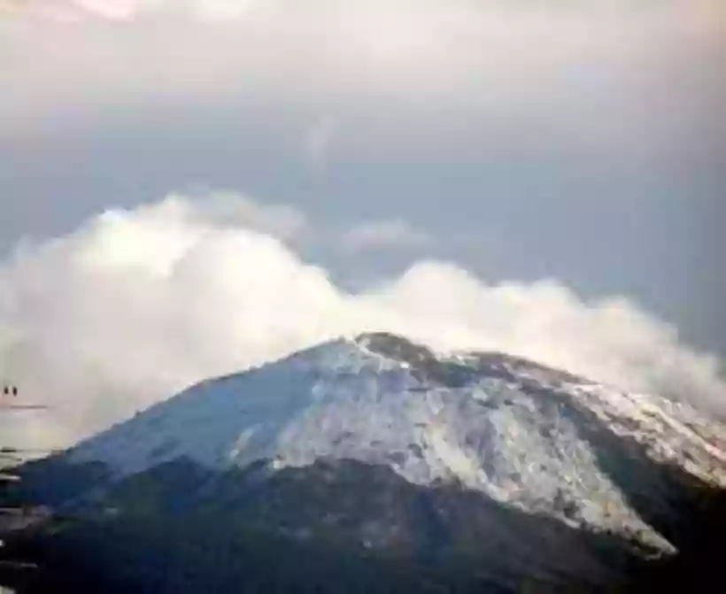 Ingrandisci questa immagine