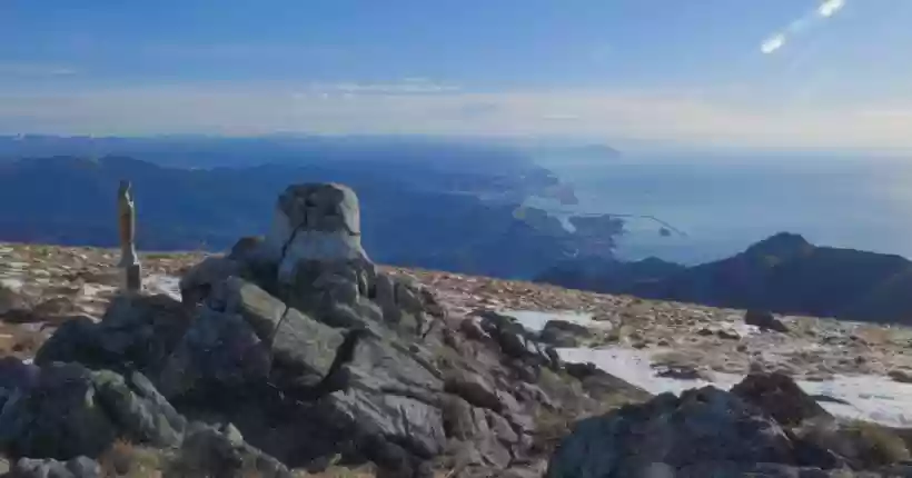 Ingrandisci questa immagine