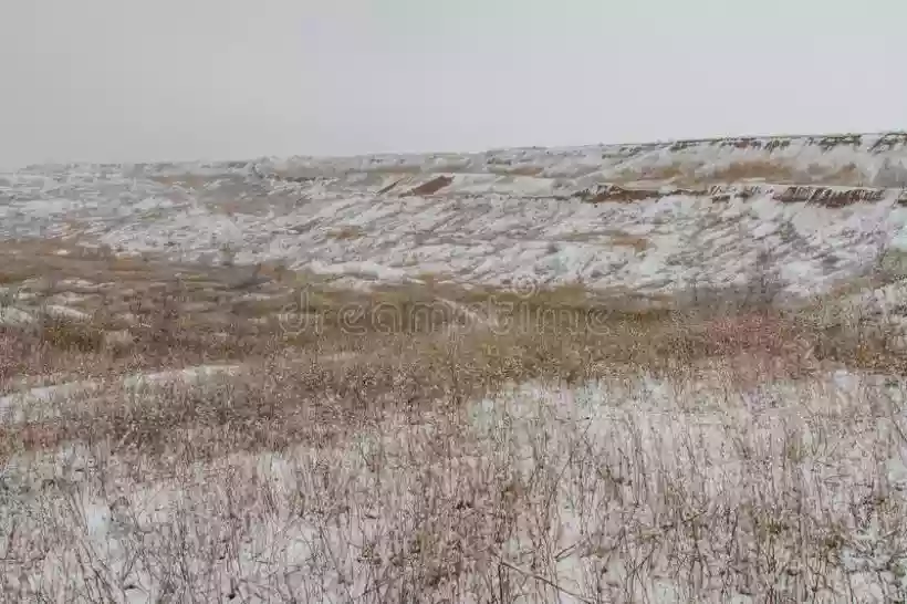 Ingrandisci questa immagine