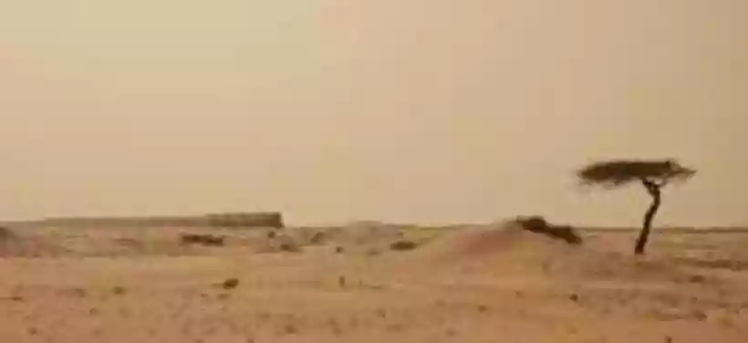 Ingrandisci questa immagine