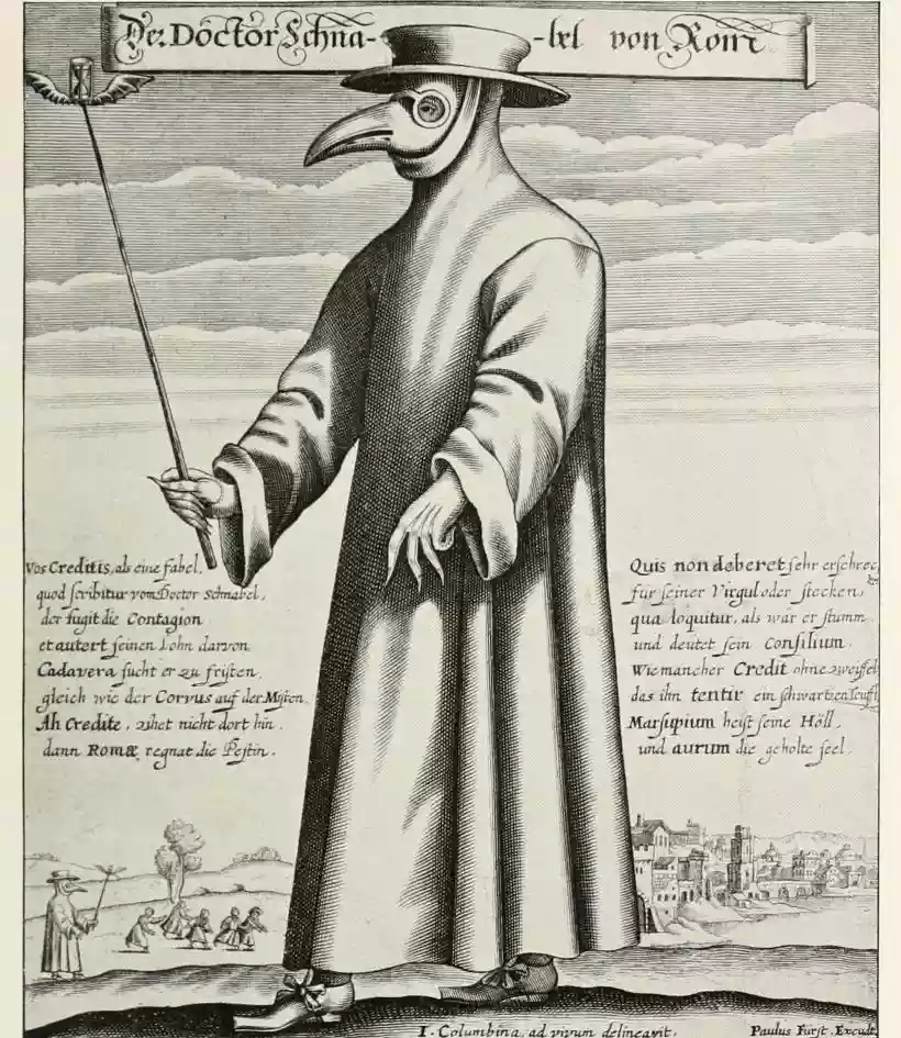 Ingrandisci questa immagine