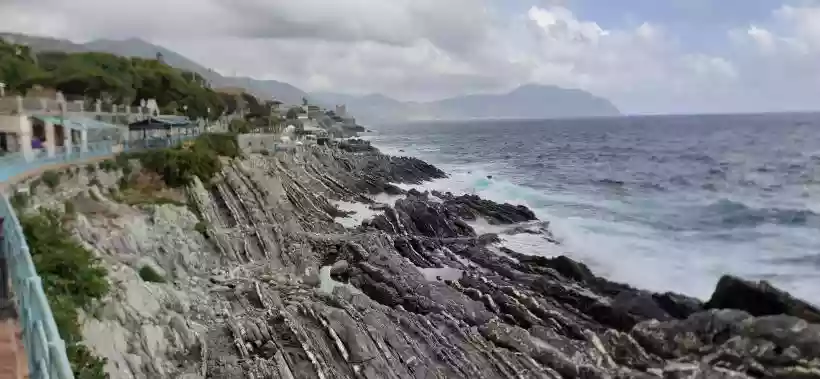 Ingrandisci questa immagine