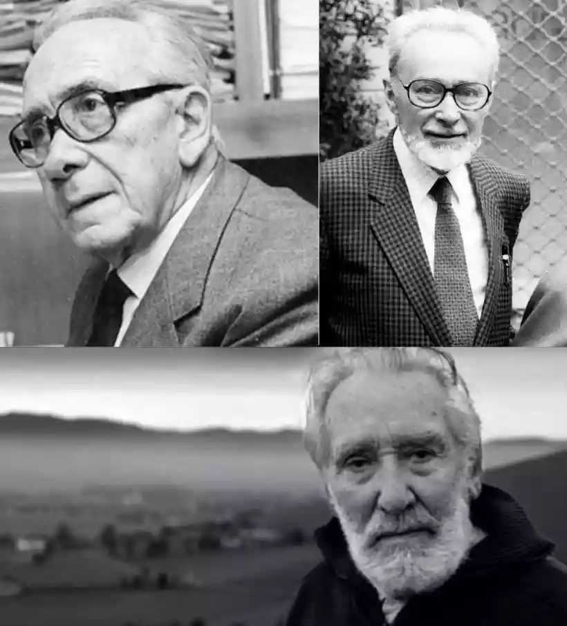 Ingrandisci questa immagine