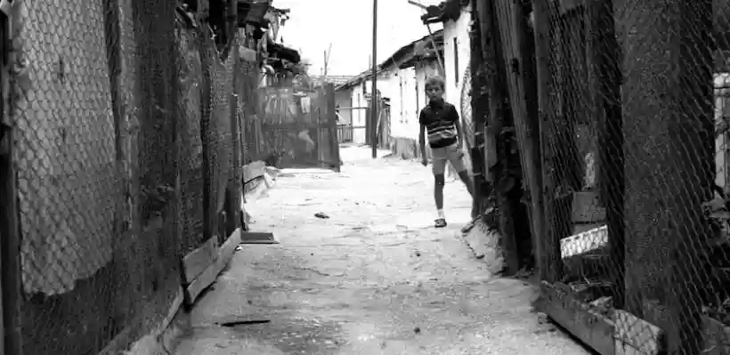 Ingrandisci questa immagine