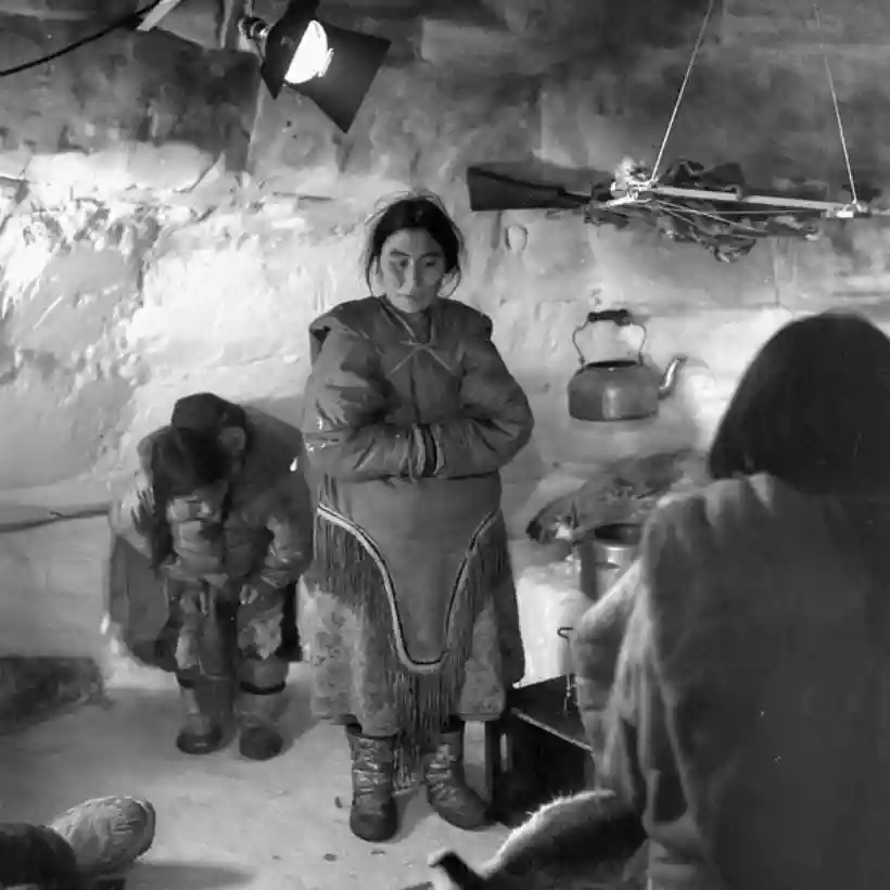 Ingrandisci questa immagine