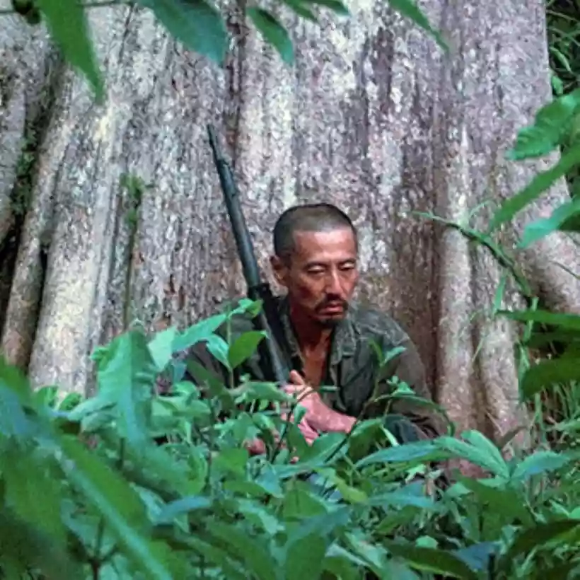 Ingrandisci questa immagine